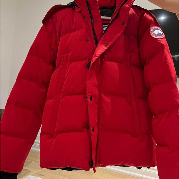 Canada goose, in a good condition. - Picture 4 of 4